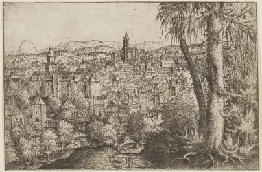 Uitzicht op Steyr aan de Enns