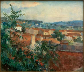 Landschap bij St. Tropez