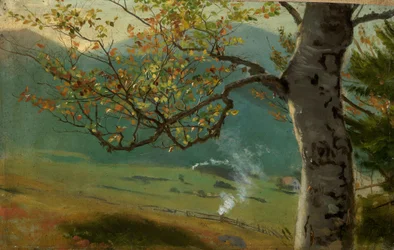 Herfstboom bij Wiesental