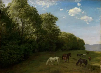 Landschap met grazende paarden