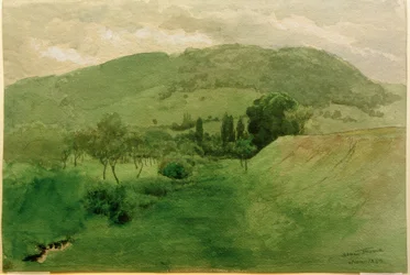 Zwarte Woud landschap