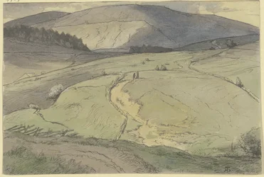Landschap in het Zwarte Woud, uitzicht over heuvelachtige weiden naar hogere bergen