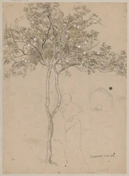 Studie van een sinaasappelboom uit de omgeving van Sorrento. Omtrek van een vrouwelijke figuur