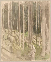 Gezicht op het bos bij Bad Säckingen