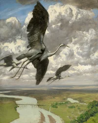 Wonderlijke vogels