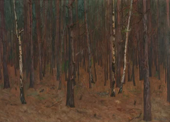 Binnen in het Bos