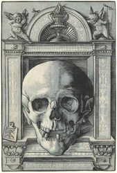 Schedel
