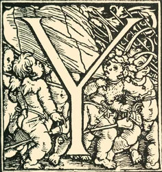 Y - Een Alfabet door Hans Weiditz, ca. 1520-1521, 1908