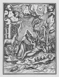 Holbeins Dodendans: De Schepping