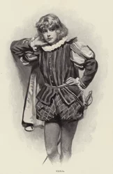 Viola