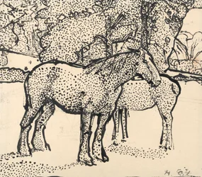 Twee paarden
