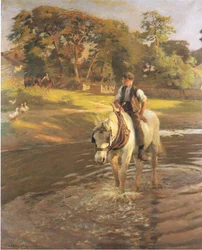 Het paard water geven
