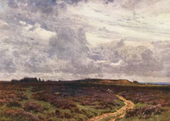 De Zanderige Weg, Milford Heath