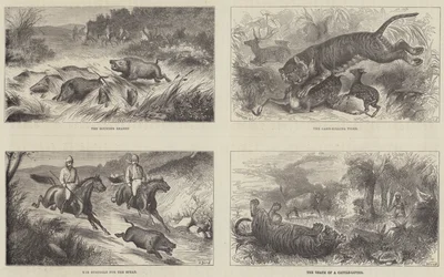 India en de Prins van Wales