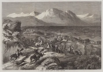 Een recente wilde zwijnenjacht in Algerije