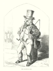 Grappige honden: de wetende hond (gravure)