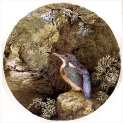 De schuilplaats van de ijsvogel