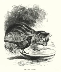 De Twee Vrienden (gravure)