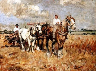 De ploeg