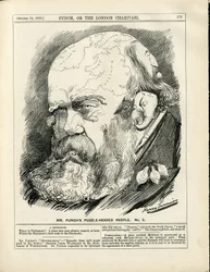 Illustratie van Harry Furniss (1854-1925) in Punch