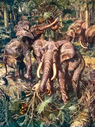 Olifanten vernietigen een palmbos (kleurenlitho)