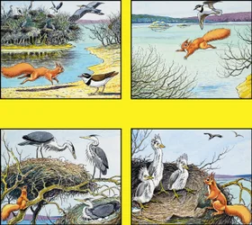 Kleine rode eekhoorn