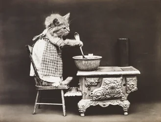 Kittieserie: Kok aan het fornuis, c.1914 (zilverdruk)