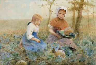 Pompoenen Verzamelen