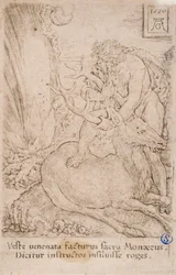 Herakles vangt de Ceryneïsche hinde, uit de serie:  De Werken van Herakles (13)