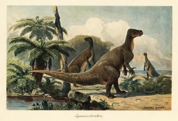 Iguanodon bernissartensis in een prehistorisch varensbos