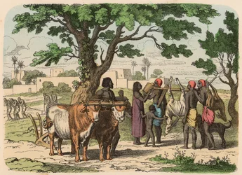 Oude Egypte: Landbouw en jacht