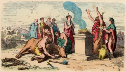 Oud-Griekenland: ritueel stierenoffer - Griekenland ten tijde van de koningen