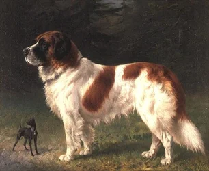 Een Sint-Bernard en een Miniatuur Pinscher