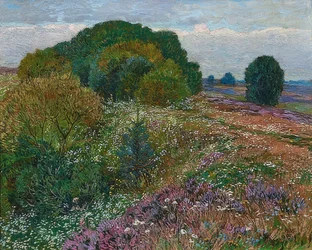 Aan de rand van de heide (Heidelandschap I)