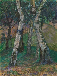 Berken bij de Barkenhoff, 1913