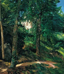 Kasteeltuinen in Lichtenberg in de Odenwald