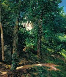 Kasteelterrein in Lichtenberg in Odenwald, 1900