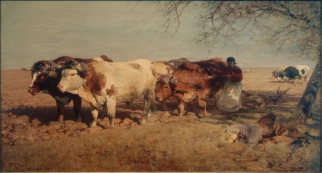Ossenvierspan