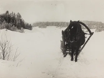 Eerste Wereldoorlog: Oekraïne in de jaren 1914-1916 tijdens de invasie van het Duitse leger. Een paardenslee in de sneeuw