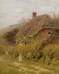 Vissen in Surrey