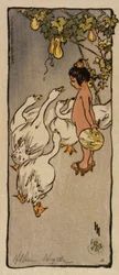 Klachten