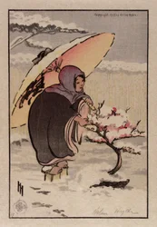 Kleine roze pruim