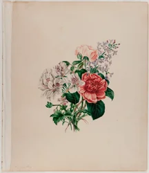 St. Leon Bouquet, c.1842