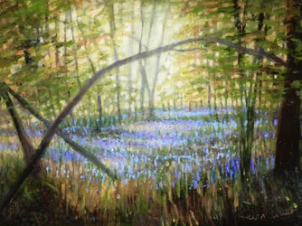Bluebell Glade, 2024 (olieverf op doek)