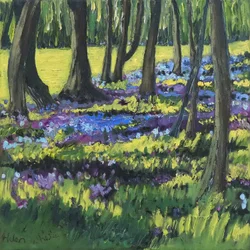 Bluebell Bos, 2008