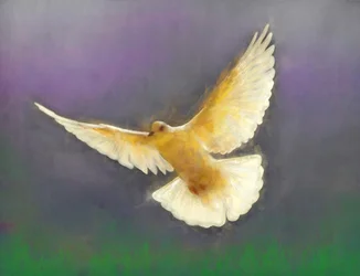 Brenger van Vrede, 2019