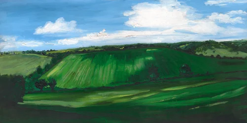 Groen en aangenaam land, 2008