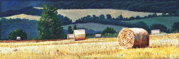 Hooibalen op een heuvel