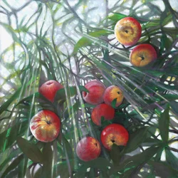 Nieuw licht op Eden, 2016