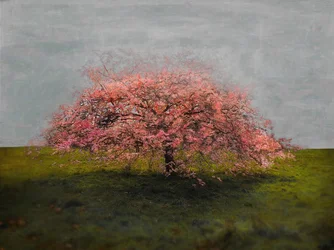 Alleenstaande Schoonheid, 2019